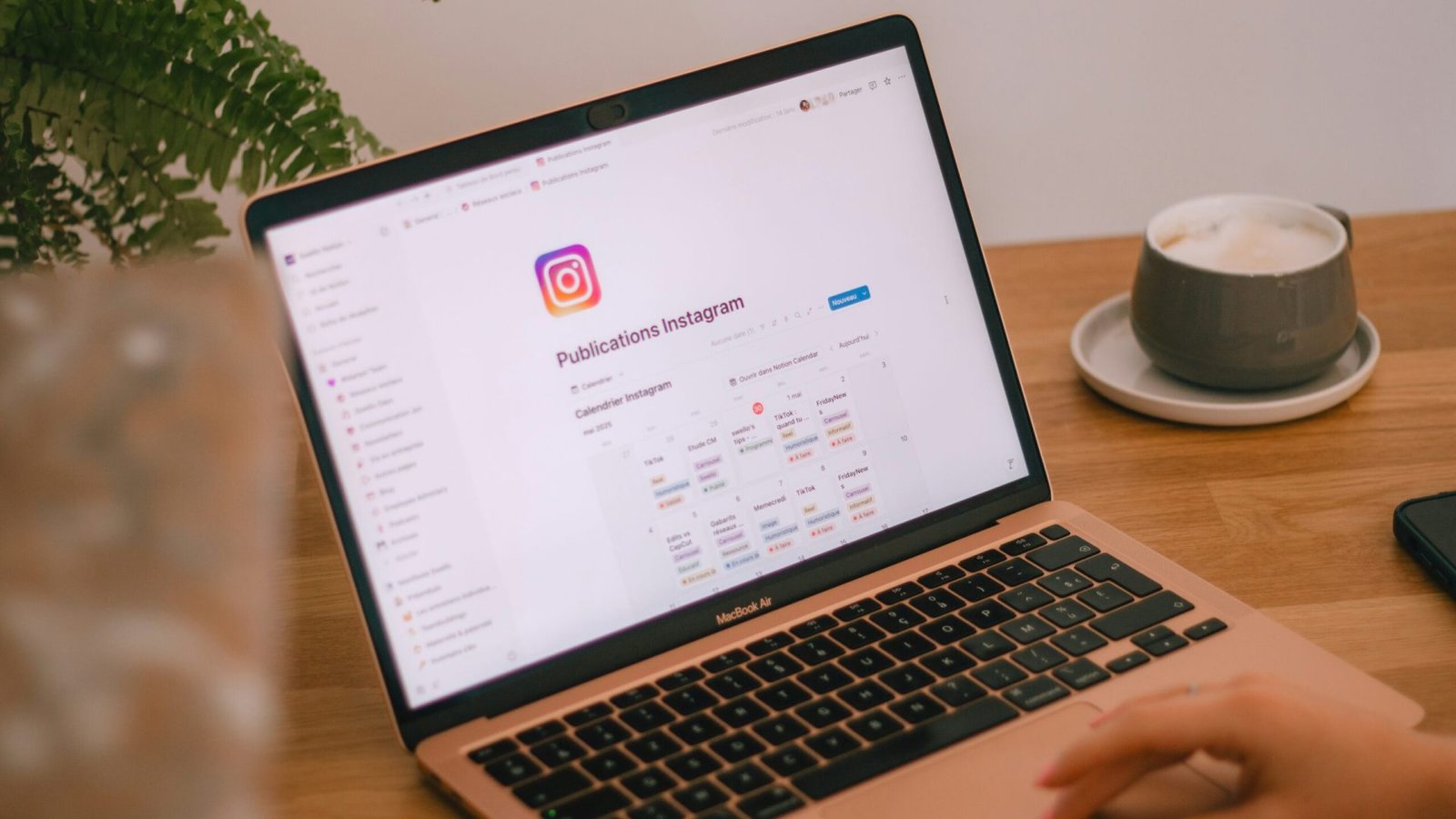 swello-6bqL9AjiNKU-unsplash